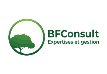 BF CONSULT